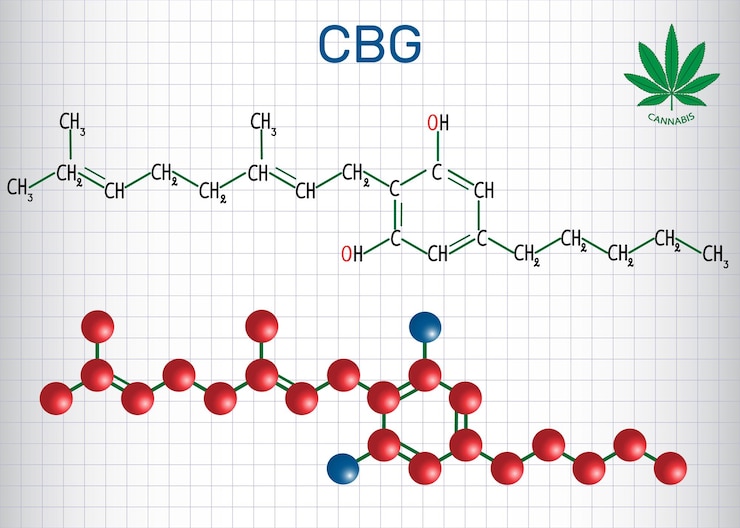 Vector cannabigerol cbg structural chemical formula and molecule model