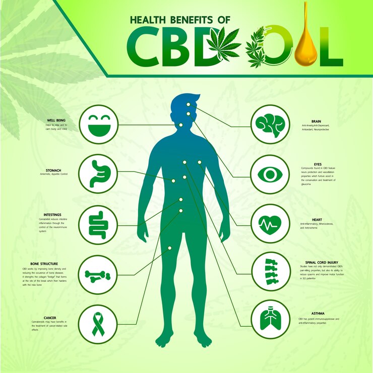Vector cannabis for medical  illustration.