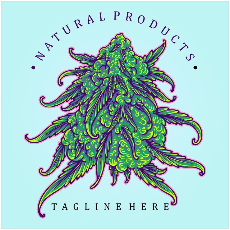 Vector cannabis indica strain natural herbal product illustrations