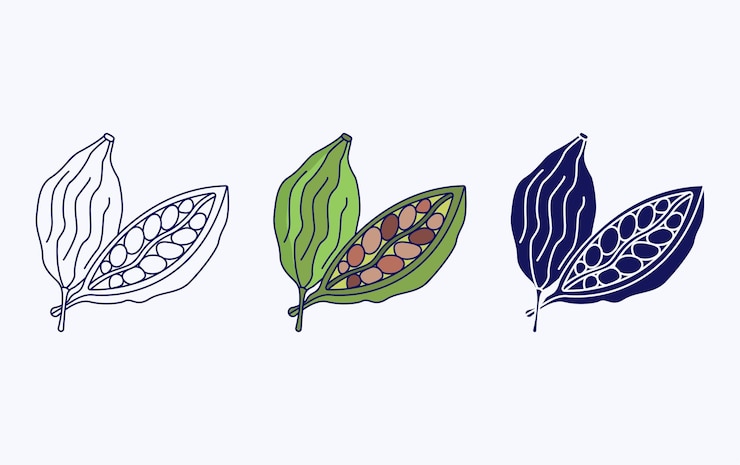 Vector cardamom icon