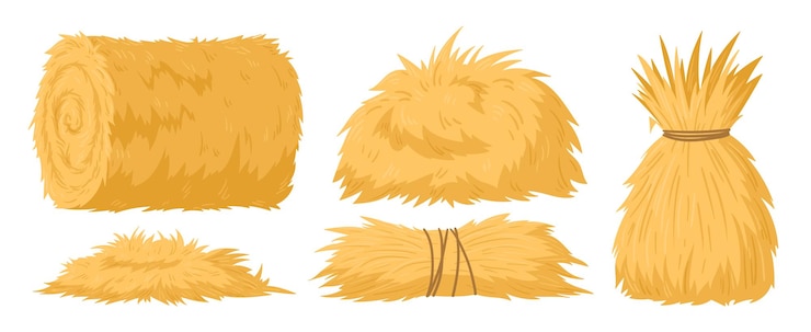 Vector cartoon agricultural haycocks bale of hay rural haystack rolled stack and fodder straw dried farm haystacks flat vector illustration set on white background