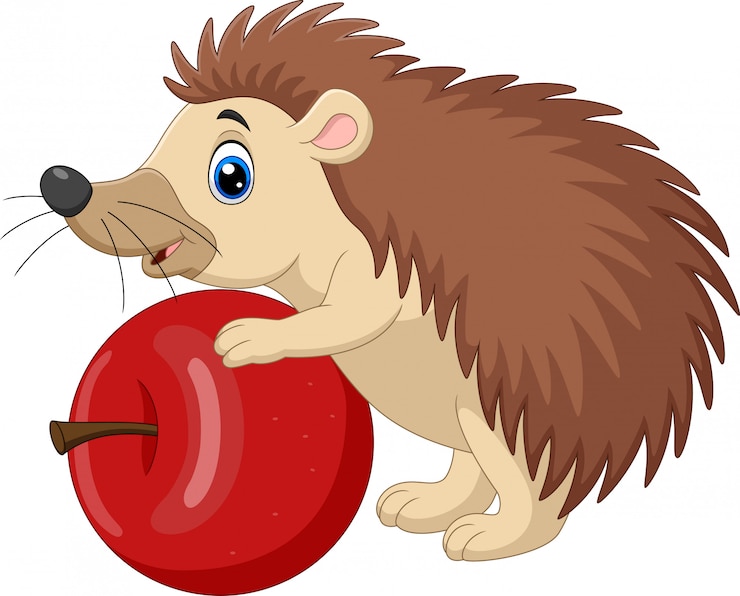 Vector cartoon baby hedgehog holding red apple