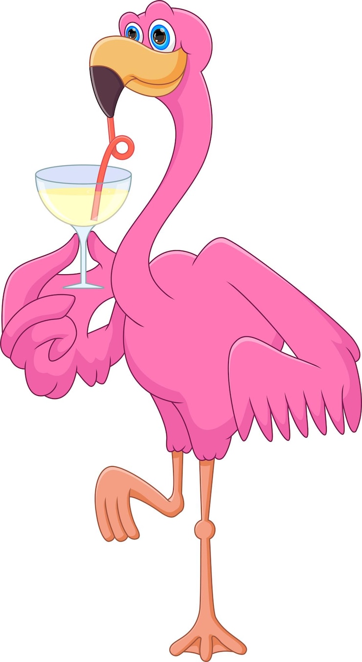 Vector cartoon cute flamingo drinking on white background