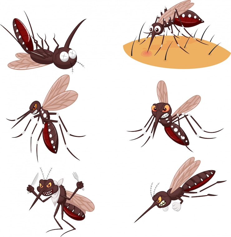 Vector cartoon mosquito collection set