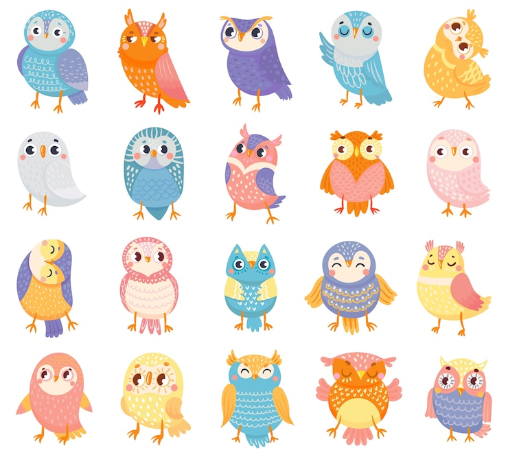 Vector cartoon owl. cute color owls, forest birds and hand drawn baby owl.