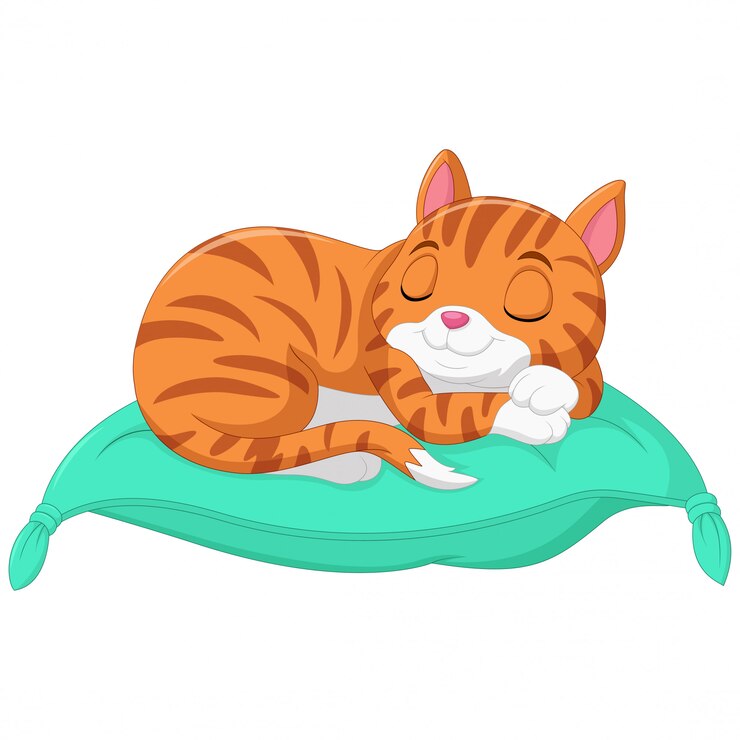 Cartoon the cat is sleeping on a pillow