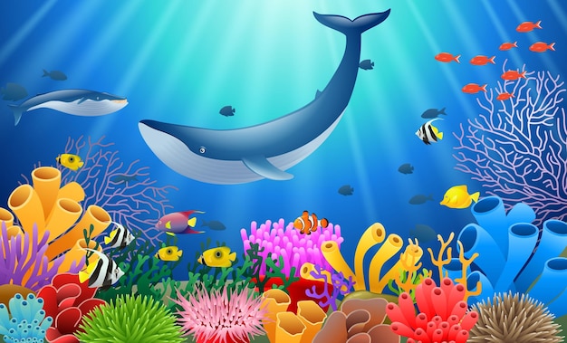 Cartoon whale with Coral Reef Underwater in Ocean Vector illustration