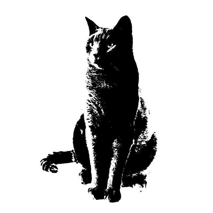 Cat Vector Art
