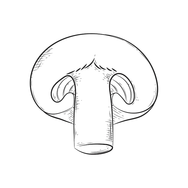 Vector champignon hatching mushroom icon. natural foods, keto diet, mushroom packaging and labels