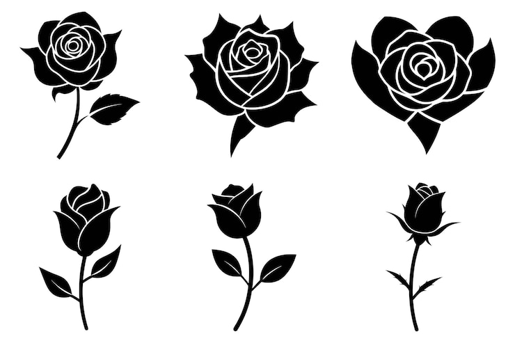 Vector chic wildflower silhouette bundle