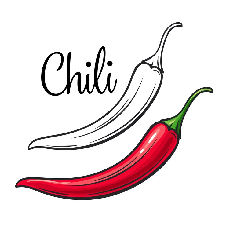Vector chili drawing icon