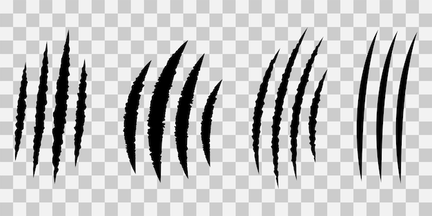 Claw scratches collection Different claw marks on transparent background Vector elements for desig