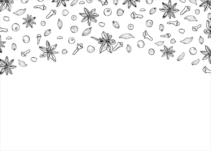 Vector cloves star anises cardamom peppers and berries vector horizontal border winter aromatic spices line art black ink sketch for the design of invitation cards advertising posters copy space