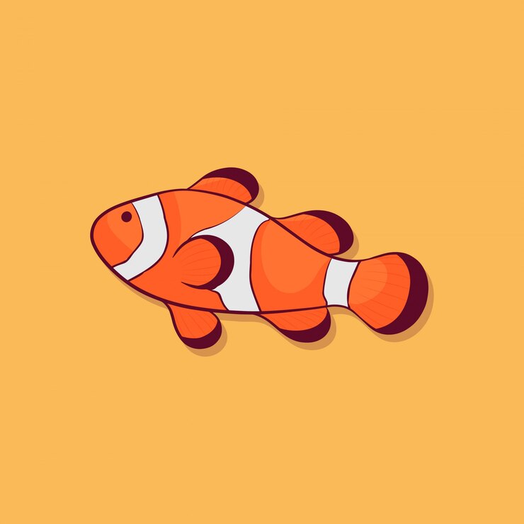 Vector clown fish