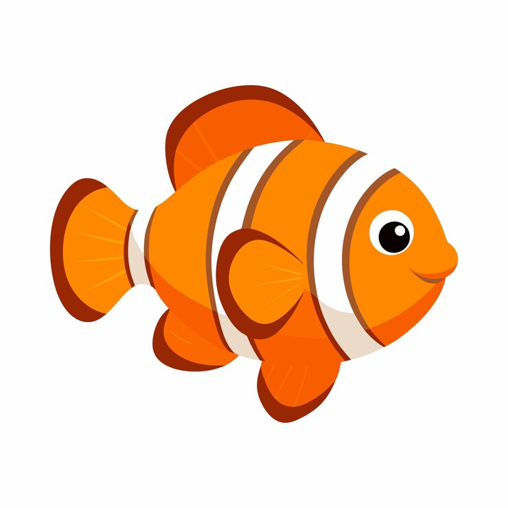 Vector clownfish white background