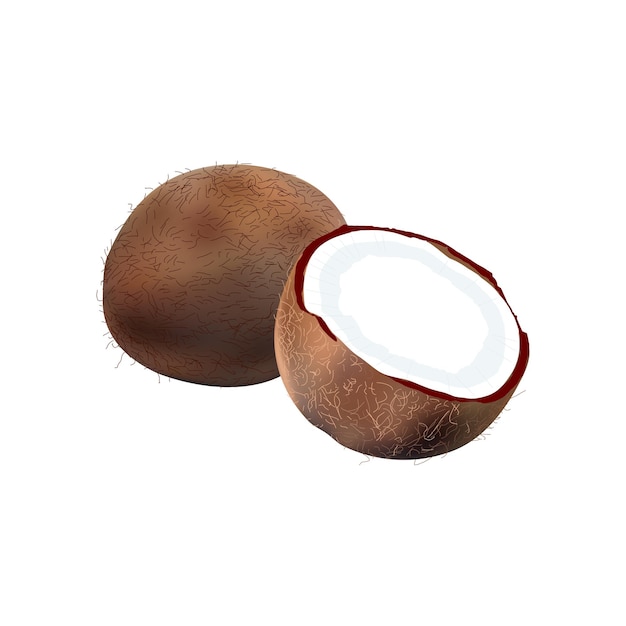 Coconut cut in half isolated on white background