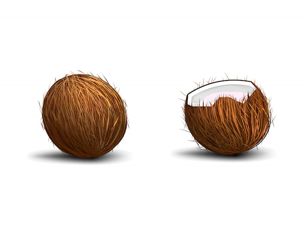Coconut isolated on white background with shadow