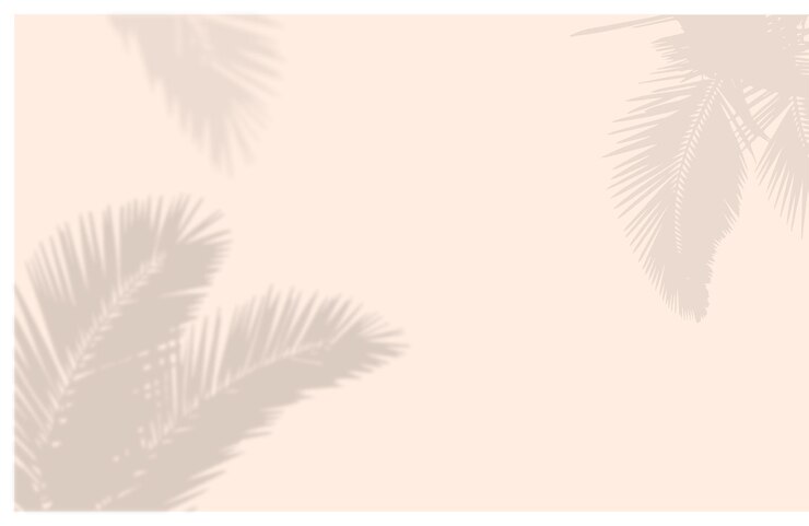 Coconut leaf shadow background