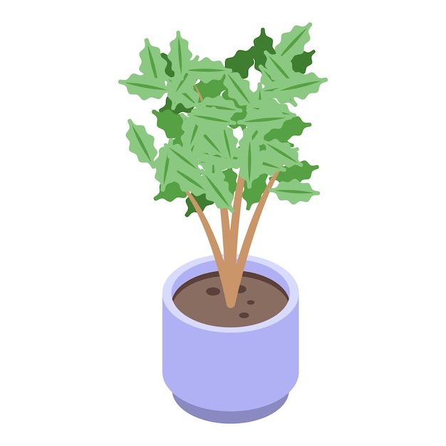 Coffee plant icon Isometric of Coffee plant vector icon for web design isolated on white background