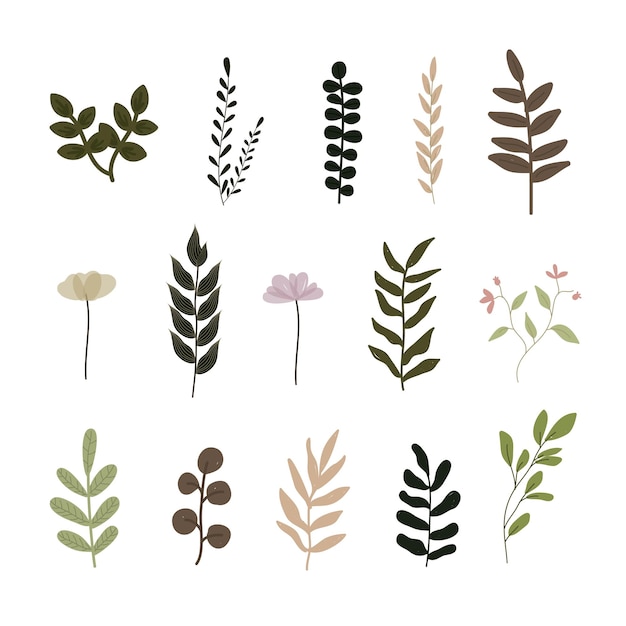 collection of green leaf design element set free vector