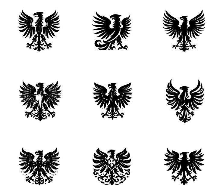 Collection of polish eagle silhouette logo Heraldic eagle logo set Modern eagle template Icon set