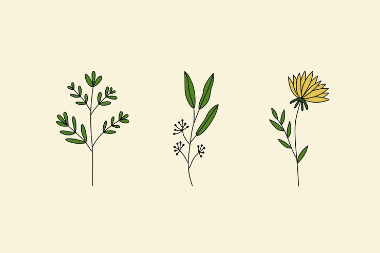 Vector collection of spring flower and leaf set floral of wildflower leaf branch foliage on cream back