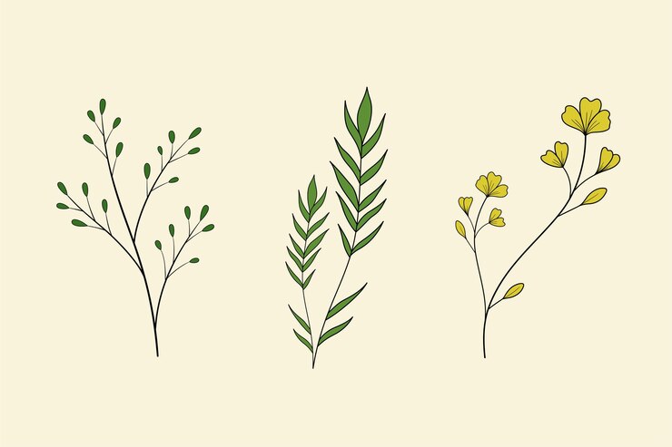 Vector collection of spring flower and leaf set floral of wildflower leaf branch foliage on cream back