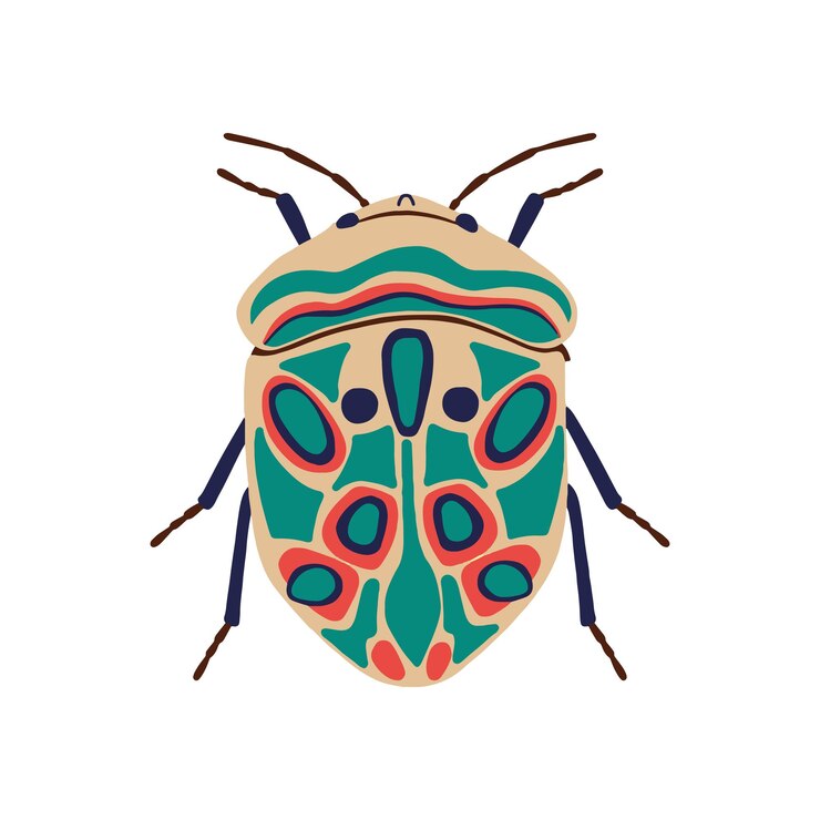 Vector color picasso beetle drawn by hand vintage