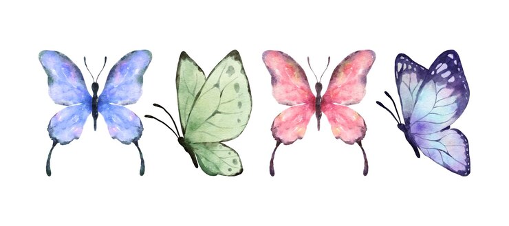 Colorful butterflies watercolor isolated on white background Purple green pink and blue butterfly Spring animal vector illustration