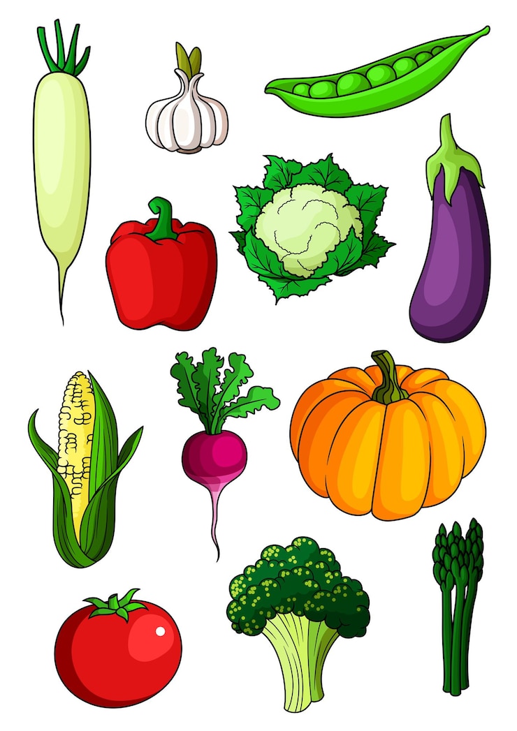 Vector colorful cartoon healthy vegetables