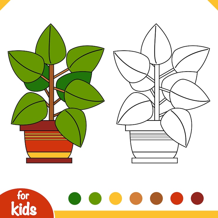 Vector coloring book cartoon collection of houseplants rubber fig