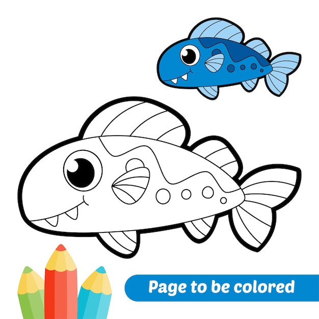 Coloring book for kids barracuda fish vector