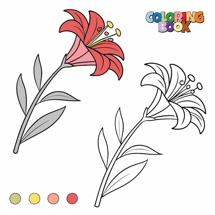Vector coloring page for kids flower vector