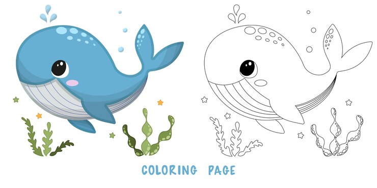 Vector coloring page of whale