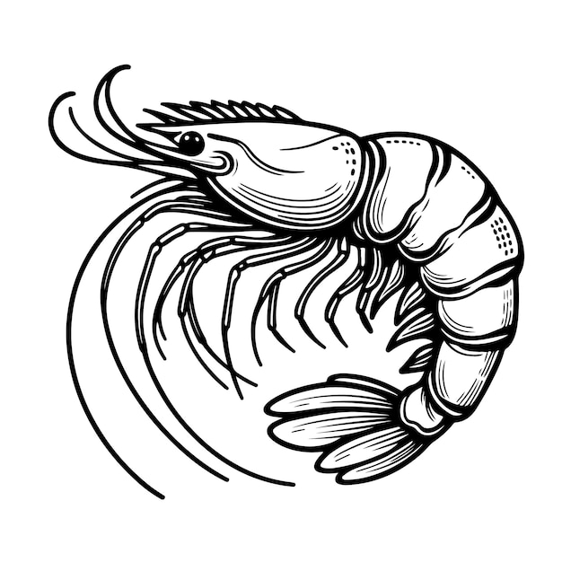 Coloring Page Outline of shrimp