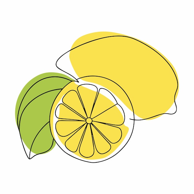 Continuous one line drawing lemon Vector illustration Black line art on a isolated white background 10