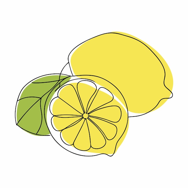Continuous one line drawing lemon Vector illustration Black line art on a isolated white background 6