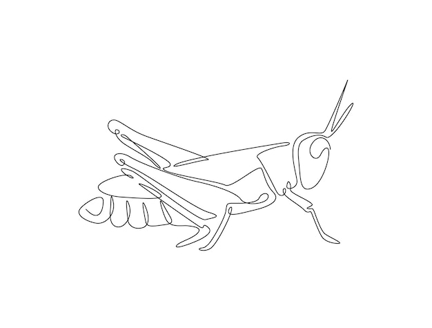 Continuous one line drawing of grasshopper locust