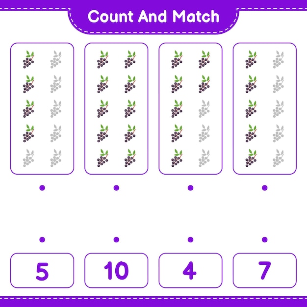 Count and match, count the number of Elderberry and match with right numbers. Educational children game, printable worksheet 