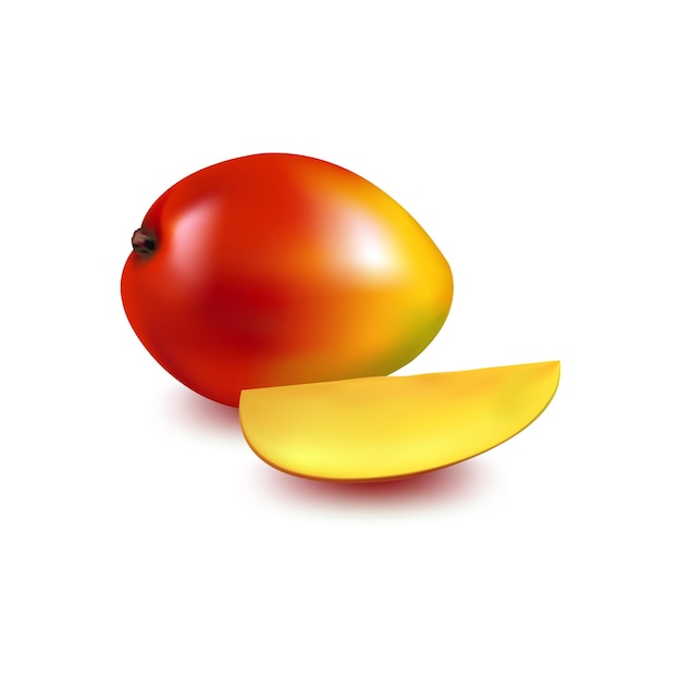 Creative Vector Fruits Illustration Design 16