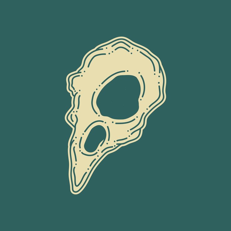 Vector crow skull line art