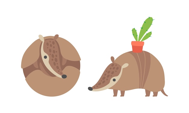 cute armadillo character with armor shell curled up and carrying cactus in pot on his back vector set