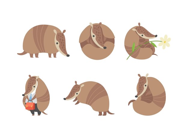 cute armadillo character with armor shell engaged in different activity vector set