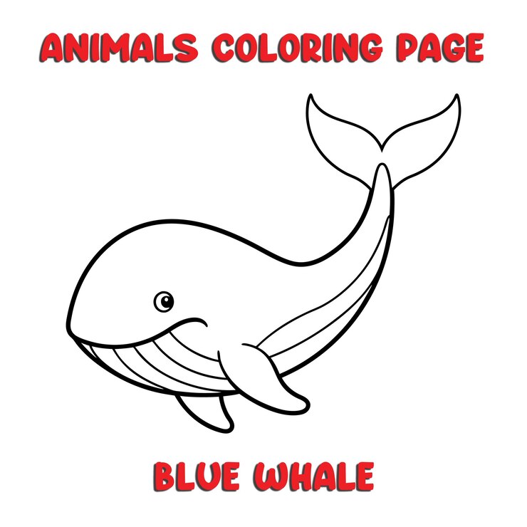 Vector cute blue whale outline art illustration coloring page book for kids