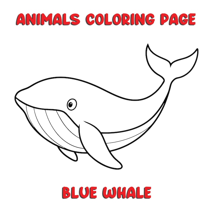 Vector cute blue whale outline art illustration coloring page book for kids