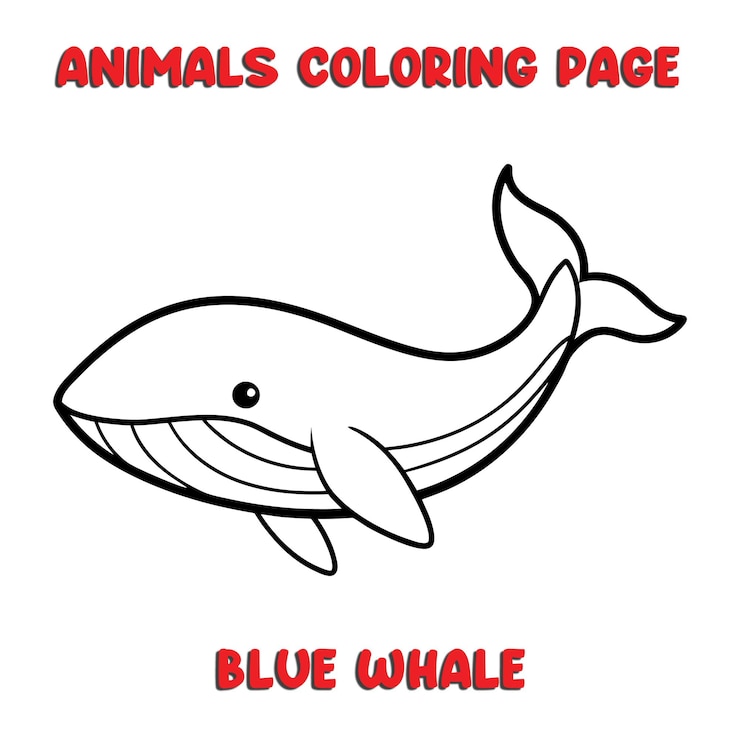 Vector cute blue whale outline art illustration coloring page book for kids