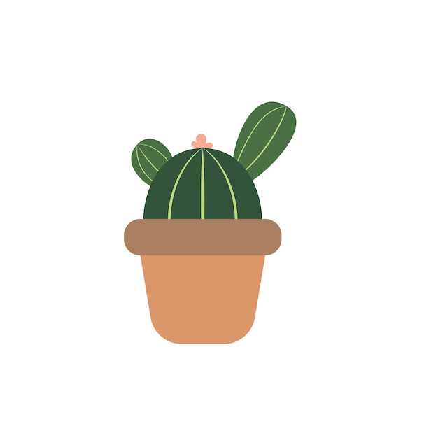 Cute Cactus decoration flat illustration