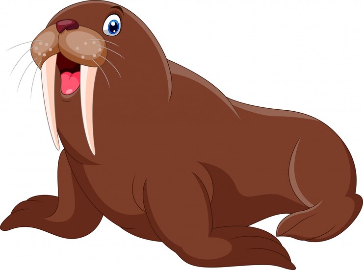 Cute cartoon walrus happy a smile