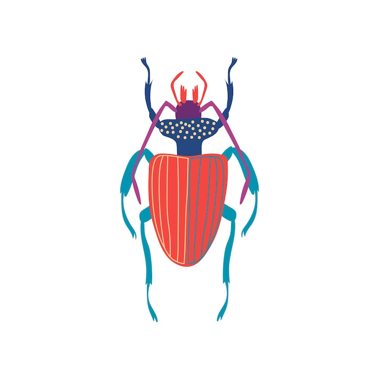 Vector cute colorful carabus beetle insect top view vector illustration on white background