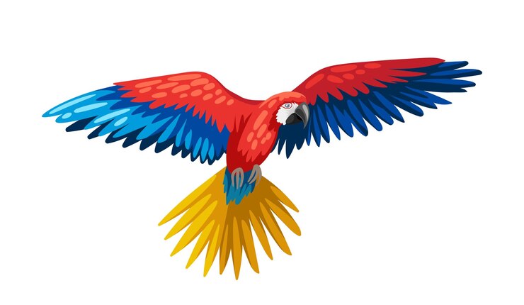 Vector cute colorful parrot bright bird cute animal with feathers tropical and exotic mammal sticker for